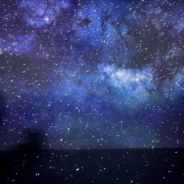 빛과 조명의 아름다운 조화✨제주 실내데이트, 아르떼 뮤지엄