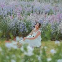 คาเฟ่กลางสวนดอกไม้ วิวภูเขา มุมถ่ายรูปเพียบ