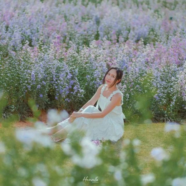 คาเฟ่กลางสวนดอกไม้ วิวภูเขา มุมถ่ายรูปเพียบ