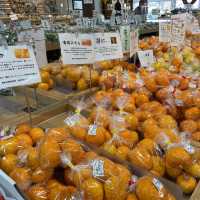 【伊豆】南伊豆の農産物直売所『湯の花』