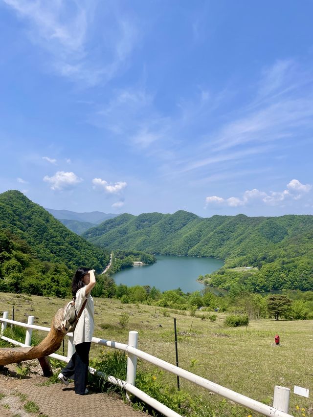 강원도 알프스는 어디? 춘천 해피초원목장🌿