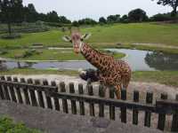 鹿兒島平川動物園探險之旅