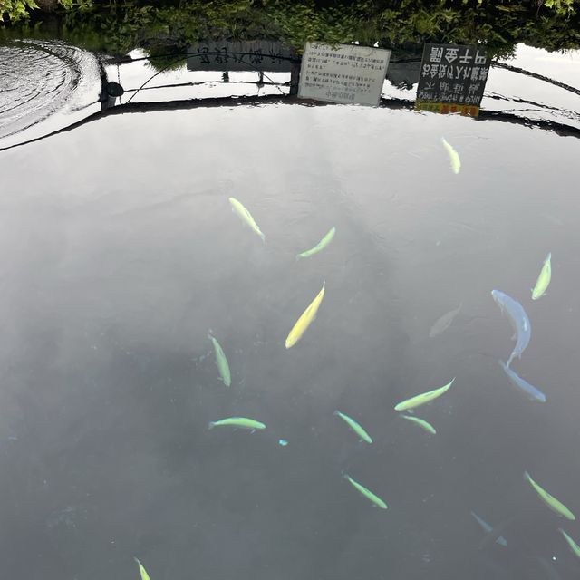 【ペットとお出かけ】忍野八海を散策！