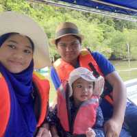 Amazing experience to Mangrove tour!!
