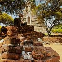 ✔️Bucketlist: Ancient City of Ayutthaya 