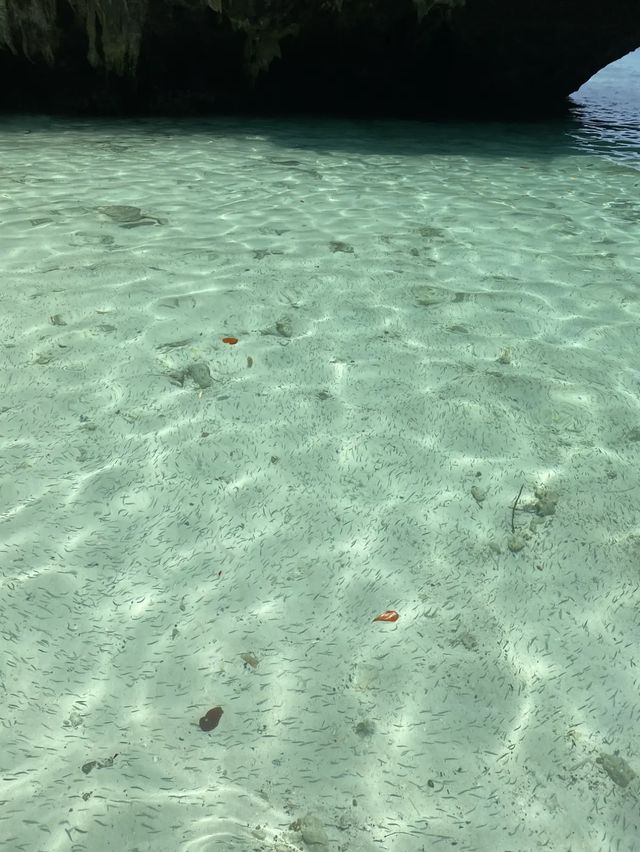 มุมลับเกาะพีพี น้ำใสมากก!🐠🏝️🏖️ มุมลับเกาะพีพี น้ำใสมากก!🐠🏝️🏖️