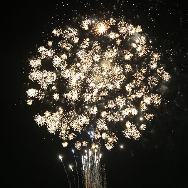 徳島県:鳴門市 花火大会🎆