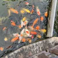 適合一家大細放鬆的濱海公園