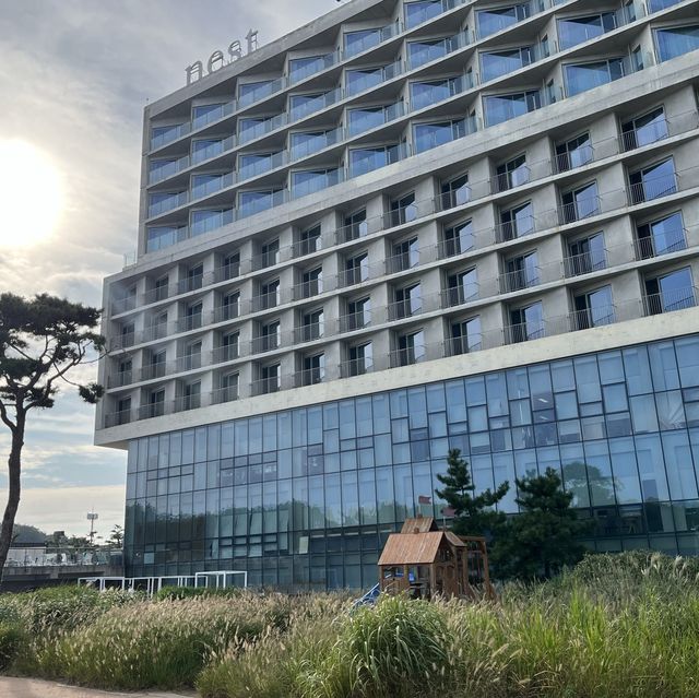 nest 수영장 거품 파티는 필수 🔥