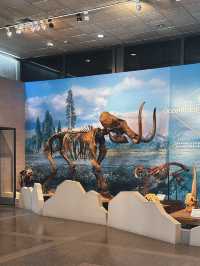 [台中] 親子旅遊好去處 自然科學生活化的知識殿堂-自然科學博物館