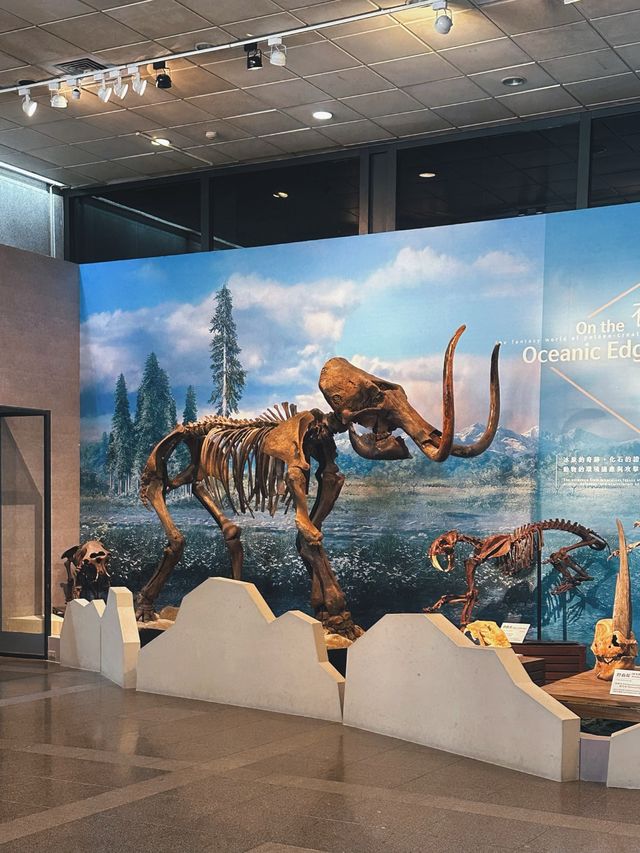 [台中] 親子旅遊好去處 自然科學生活化的知識殿堂-自然科學博物館