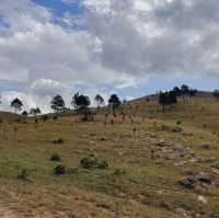 Phuong Hoang Hills