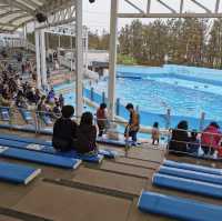 海洋奇妙～新潟市水族館 Marinepia 日本海🐠🌊🐙