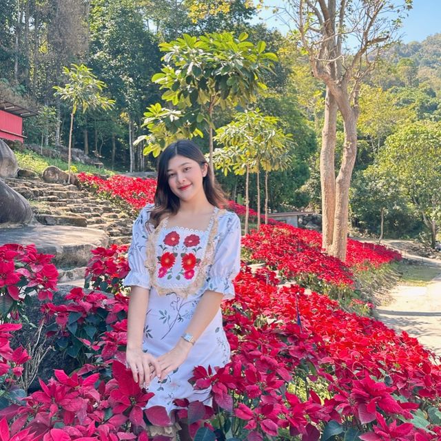 สวนละไม นานาดอกไม้🌷🌹🌻