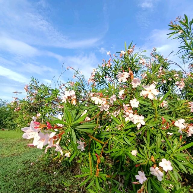 เที่ยวแบบธรรมชาติ