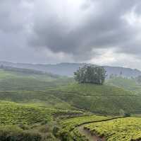 PARADISE OF KERALA