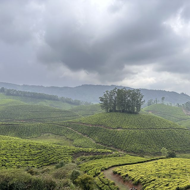 PARADISE OF KERALA