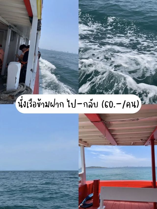 🤍 เที่ยวเกาะล้านแบบปล่อยใจ - ชลบุรี