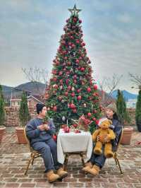 실내트리도 따뜻한 감성 한가득인 거제도 카페🎄✨️