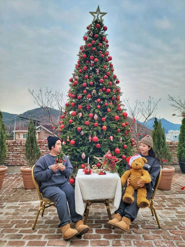 실내트리도 따뜻한 감성 한가득인 거제도 카페🎄✨️