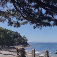 【自然と史跡が残る島🏝️友ヶ島】