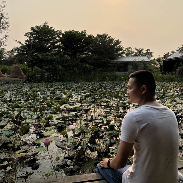 ไป ดูบัว คาเฟ่ กันเถอะ 🥰🥰 คาเฟ่ใกล้ กทม 