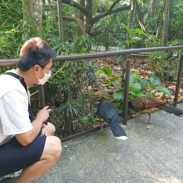 강을 테마로 한 동물원 싱가포르 리버 원더스