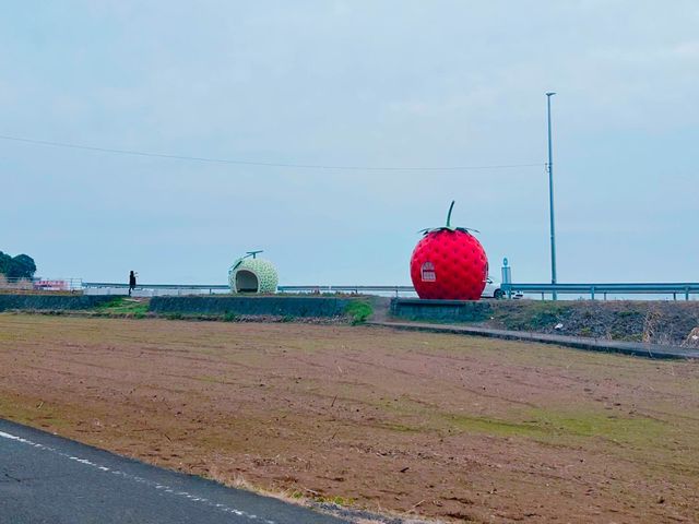 【長崎/諫早】かわいすぎるフルーツバス停🍊🍓