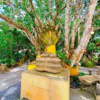 วัดพระใหญ่ ภูเก็ต