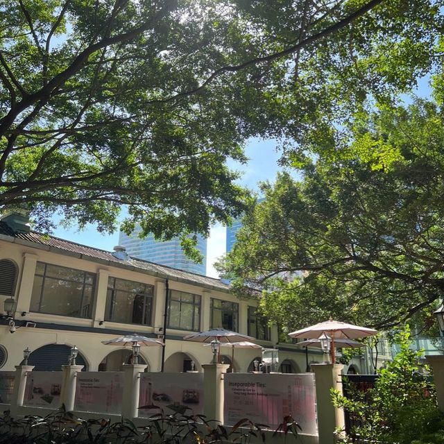 九龍公園 尖沙咀難得綠化空間