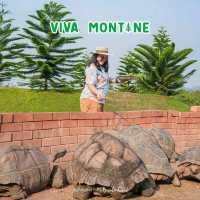 ที่พักครอบครัว 🐢 Viva Montane นอนชิลกลางเขา
