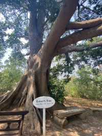 Kalaw (Highland in Myanmar) 
