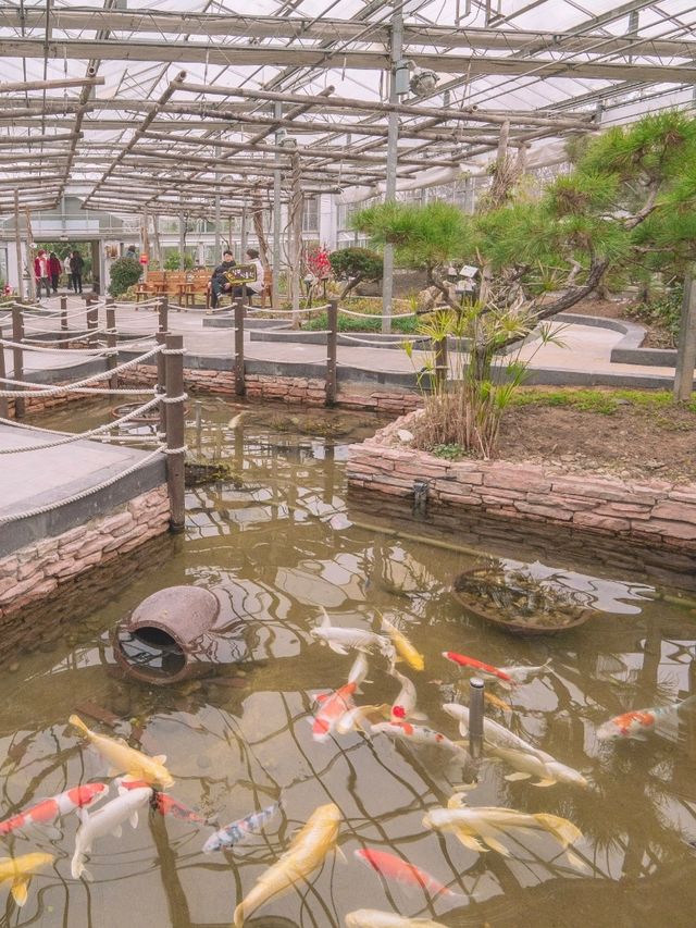 피라미드 외관을 보는 듯 한 4개의 온실이 있는 "안산 식물원"