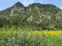 30분에 담을 수 있는 제주도 전경, 성산일출봉⛰️