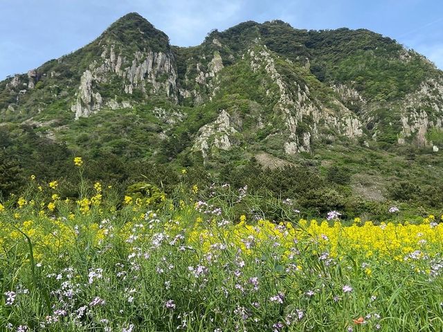 30분에 담을 수 있는 제주도 전경, 성산일출봉⛰️