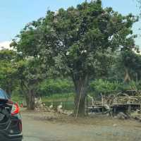 3โซนห้ามพลาด เมื่อมาเที่ยวซาฟารีเวิลด์!