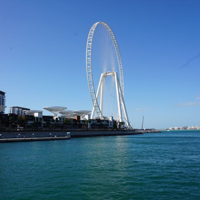 Marina Dhow Cruise