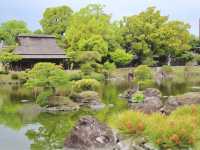 熊本. 九州🇯🇵🧸水前寺成趣園🏞️