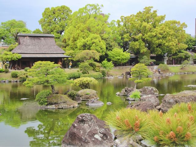 熊本. 九州🇯🇵🧸水前寺成趣園🏞️