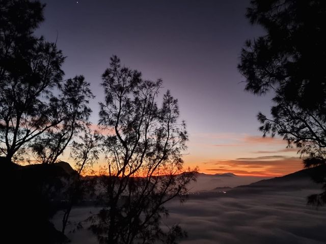 Unveiling the Majesty of Mt Bromo 