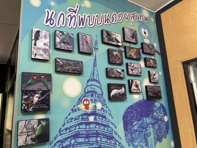 พิพิธภัณฑ์พันธุ์ไม้’สวนรุกขชาติห้วยแก้ว’