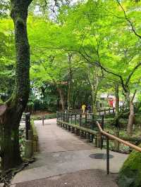 【大阪】滝道を散策をしよう
