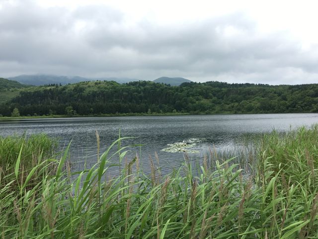 北海道　北海道観光　利尻島の絶対外せない観光スポット、オタトマリ沼に行ってきた！
