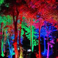 “วิจิตร@เชียงใหม่ สีสันแห่งเส้นแสง📍