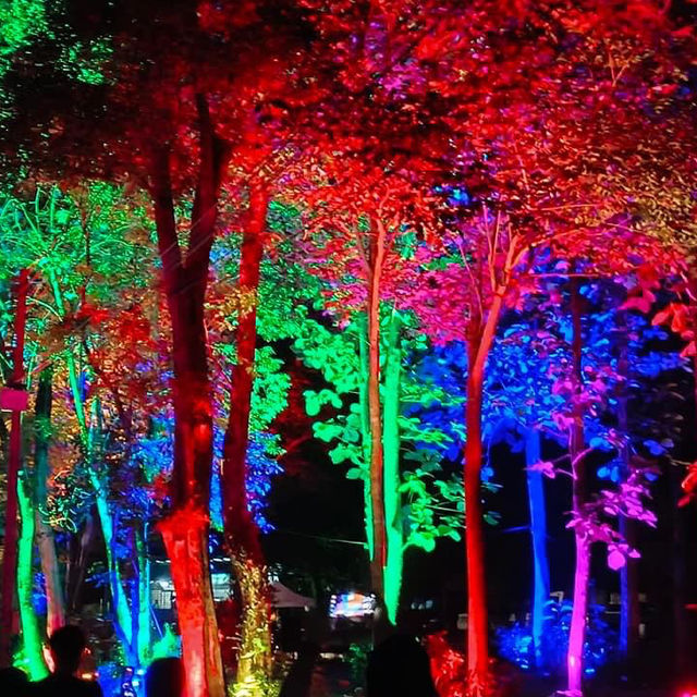 “วิจิตร@เชียงใหม่ สีสันแห่งเส้นแสง📍