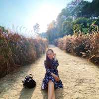 สวนคุณปู่ Life Museum มาสูดอากาศแบบเต็มปอดกัน🏔️