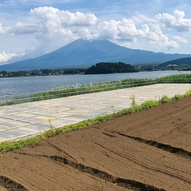 Catch A Glipse Of Mount Fuji