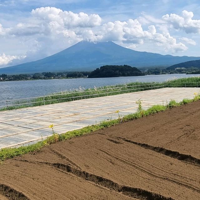 Catch A Glipse Of Mount Fuji
