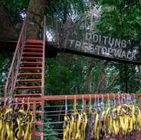 สวนแม่ฟ้าหลวง