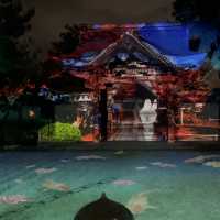 【京都】秀吉ゆかりの寺、高台寺のライトアップ
